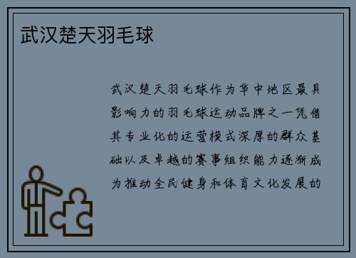 武汉楚天羽毛球