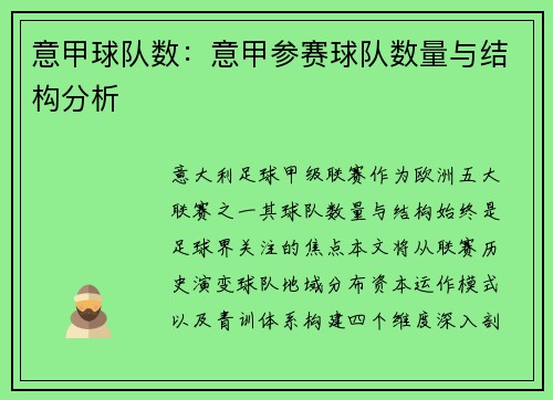 意甲球队数：意甲参赛球队数量与结构分析