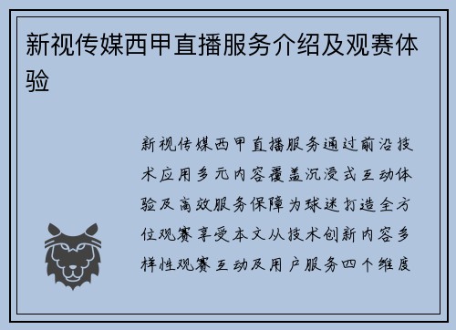 新视传媒西甲直播服务介绍及观赛体验