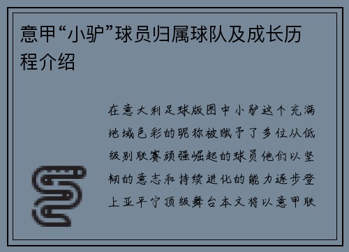 意甲“小驴”球员归属球队及成长历程介绍